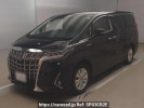 Toyota Alphard Hybrid AYH30W