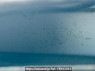 Used 2013 AT nissan juke F15 Image[12]