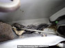 Used 2006 AT toyota probox-van NCP51V Image[45]
