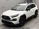Toyota RAV4 AXAH54