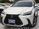 Lexus NX AAZH20