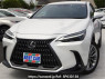 Used 2023 AT lexus nx AAZH20 Image[0]