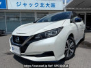 Nissan Leaf ZE1