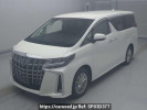 Toyota Alphard Hybrid AYH30W