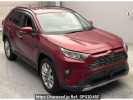 Toyota RAV4 MXAA54
