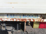 Used 1992 MT mitsubishi canter-guts FB308B Image[15]