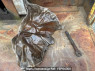 Used 1992 MT mitsubishi-fuso great FS416N Image[53]