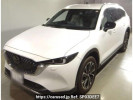 Mazda CX-8 KG2P