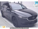 Mazda CX-8 KG2P