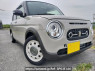 Used 2022 AT suzuki alto-lapin HE33S Image[0]