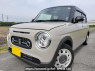 Used 2022 AT suzuki alto-lapin HE33S Image[1]