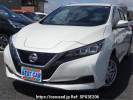 Nissan Leaf ZE1