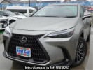 Lexus NX AAZA20