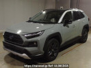 Toyota RAV4 AXAH54