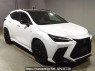 Used 2023 AT lexus nx AAZH20 Image[2]