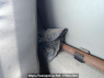 Used 1994 MT mitsubishi canter FE517BD Image[46]