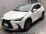 Used 2023 AT lexus nx AAZH20 Image[0]