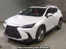 Used 2023 AT lexus nx AAZH25 Image[0]