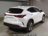 Used 2023 AT lexus nx AAZH25 Image[1]