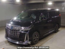 Toyota Alphard Hybrid AYH30W