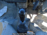 Used 1991 MT isuzu elf-truck NHR55E Image[21]