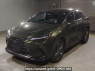 Used 2023 AT lexus nx AAZH25 Image[0]