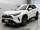 Toyota RAV4 AXAH54