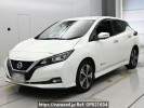 Nissan Leaf ZE1