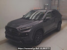 Toyota RAV4 AXAH54