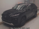 Toyota RAV4 AXAH54