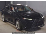 Used 2022 AT lexus nx AAZA25 Image[0]