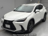 Used 2023 AT lexus nx AAZH20 Image[0]