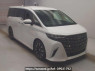 Used 2024 AT toyota alphard-hybrid AAHH45W Image[2]