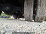 Used 1999 MT mitsubishi-fuso fighter FK728C Image[34]