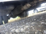 Used 1994 MT mitsubishi canter FE518BD Image[39]