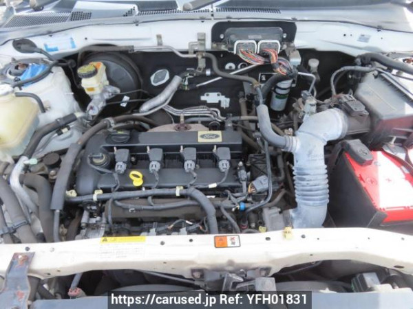 Used 2010 AT ford escape LFAL3P Image[10]