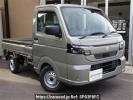 Suzuki Carry Truck DA16T