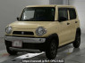 Used 2019 MT suzuki hustler MR31S Image[0]