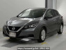 Used 2021 AT nissan leaf ZE1 Image[0]