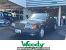 Mercedes Benz Medium Class 124051