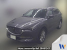Mazda CX-8 KG2P