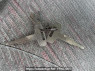 Used 1998 MT mitsubishi canter FE517BD Image[36]