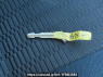 Used 2005 AT toyota voxy AZR60G Image[31]