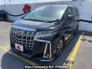 Toyota Alphard DBA-AGH30W