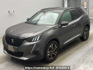 Peugeot null P24YH01