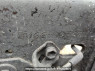 Used 1992 MT toyota dyna-truck BU66D Image[13]