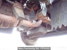 Used 1991 MT toyota dyna-truck BU67D Image[51]