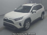 Used 2020 AT toyota rav4 MXAA52 Image[0]