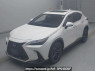 Used 2023 AT lexus nx AAZH20 Image[0]