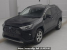 Toyota RAV4 AXAH54